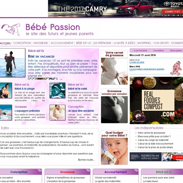 Logo Bébé Passion