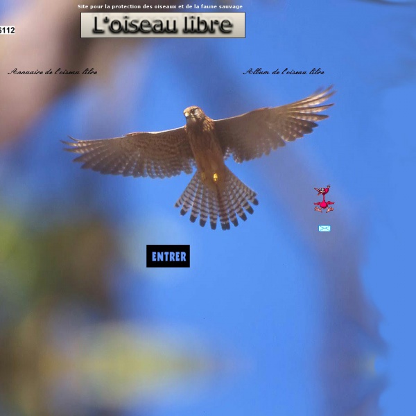 Logo L’oiseau libre