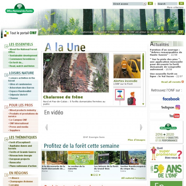 Logo Office Nationnal des Forêts (ONF)