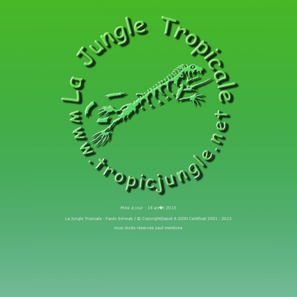 Logo La jungle tropicale